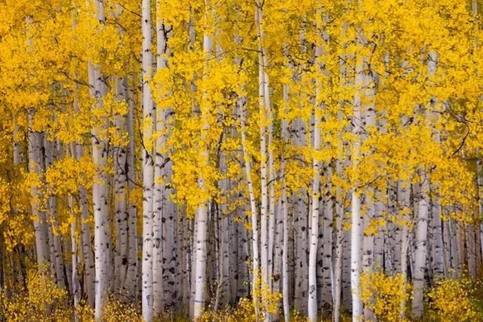 坐哪些火车可以出国看风景又好玩,太原人可以去北京旅游吗