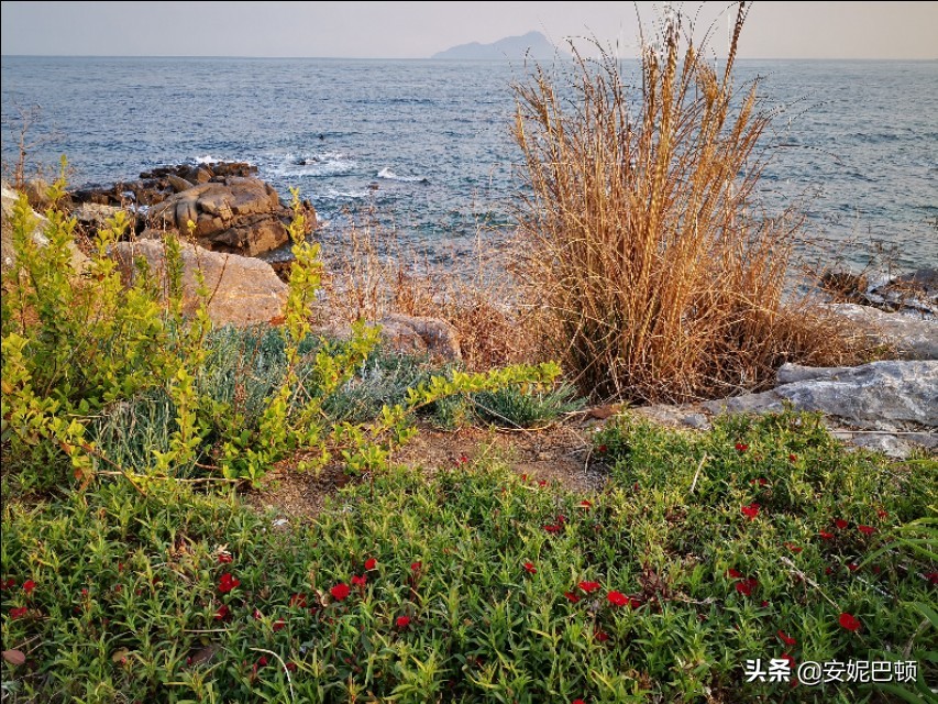 五一青岛小众海滩,青岛必去的有礁石海滩