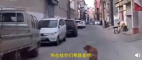 民警警告无效采取强制措施,警察给出罚单需要立即处理吗