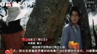 林青霞秦汉琼瑶剧,琼瑶林青霞秦汉电视剧大全