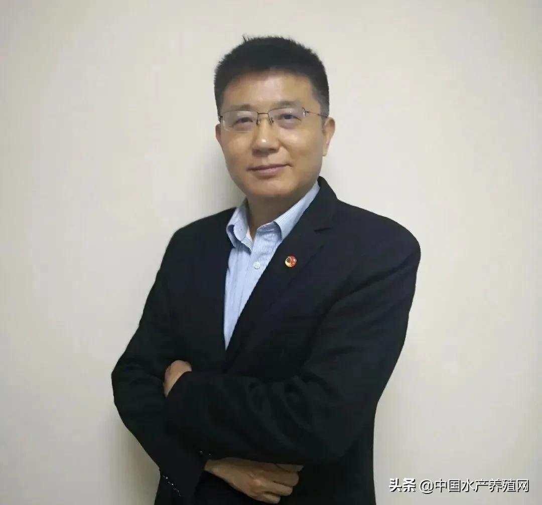 嘉吉饲料养猪,嘉吉饲料营养