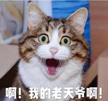 只花1万5就买了辆1500万的*博兰**基尼？！女子一句话惊呆民警