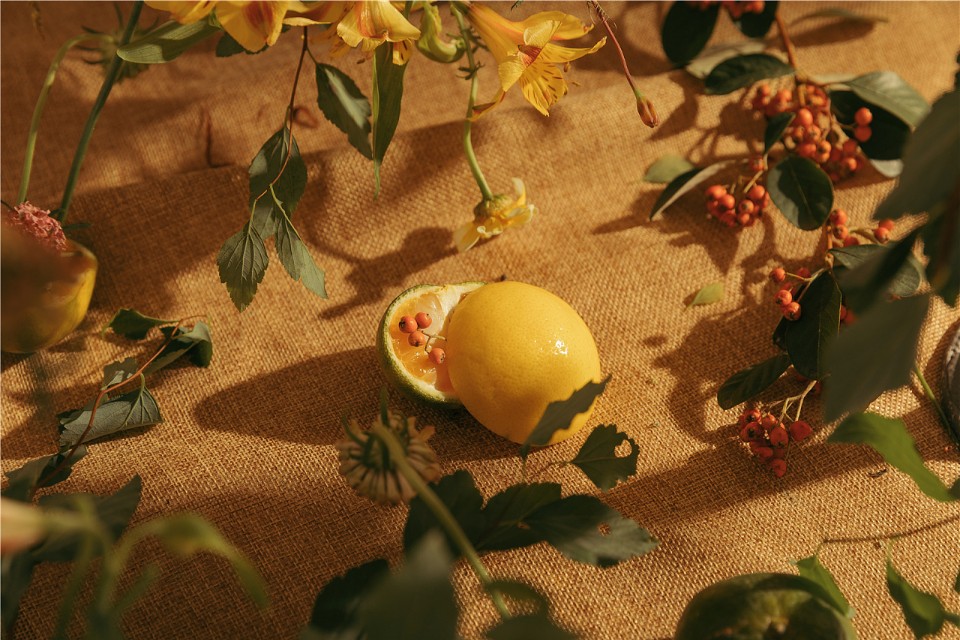 仙气森系梦幻清新写真,写真森系小清新风格照片