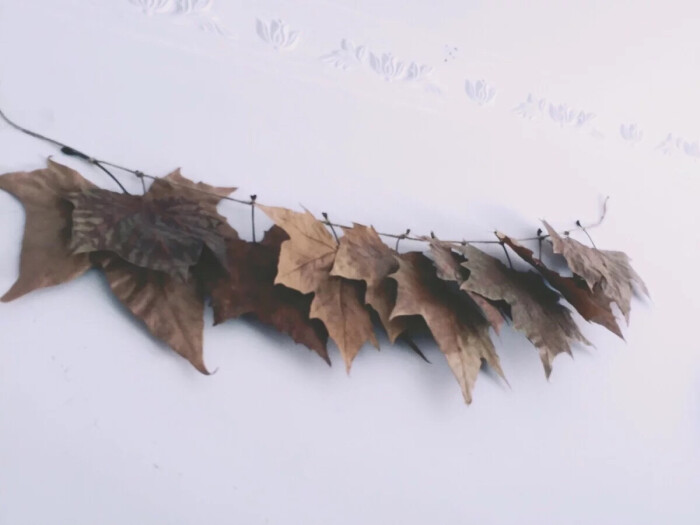 秋天最美的落叶手工,跟秋天有关的树叶手工超级简单