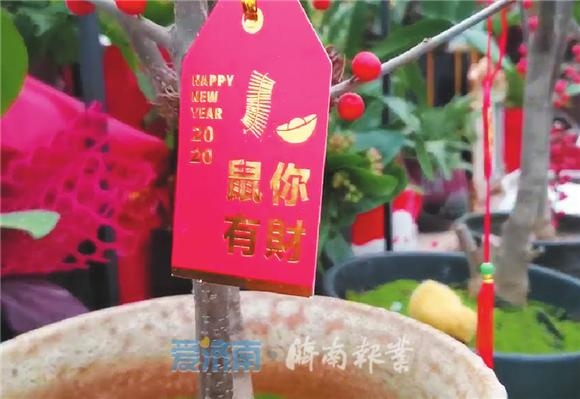 年味都去哪了模板,年味都去哪了改编版