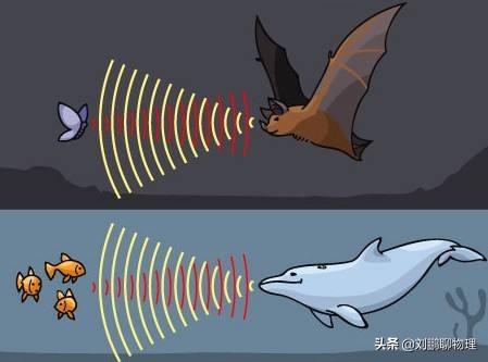 初中物理声的利用讲解视频,初中二年级物理人教版教程