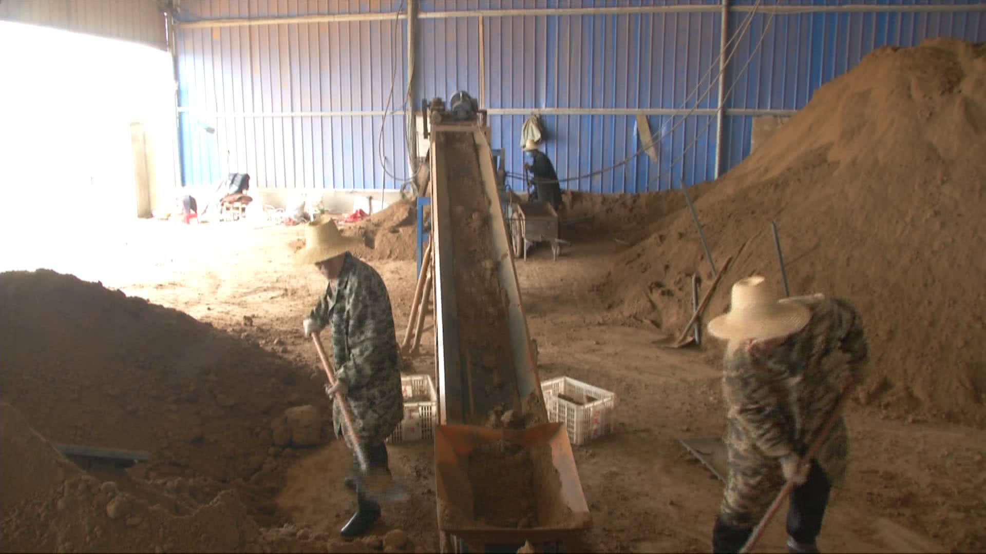 灏忛緳铏剧豢鑹蹭骇涓氶摼,灏忛緳铏惧吇娈栦竴鏉￠緳