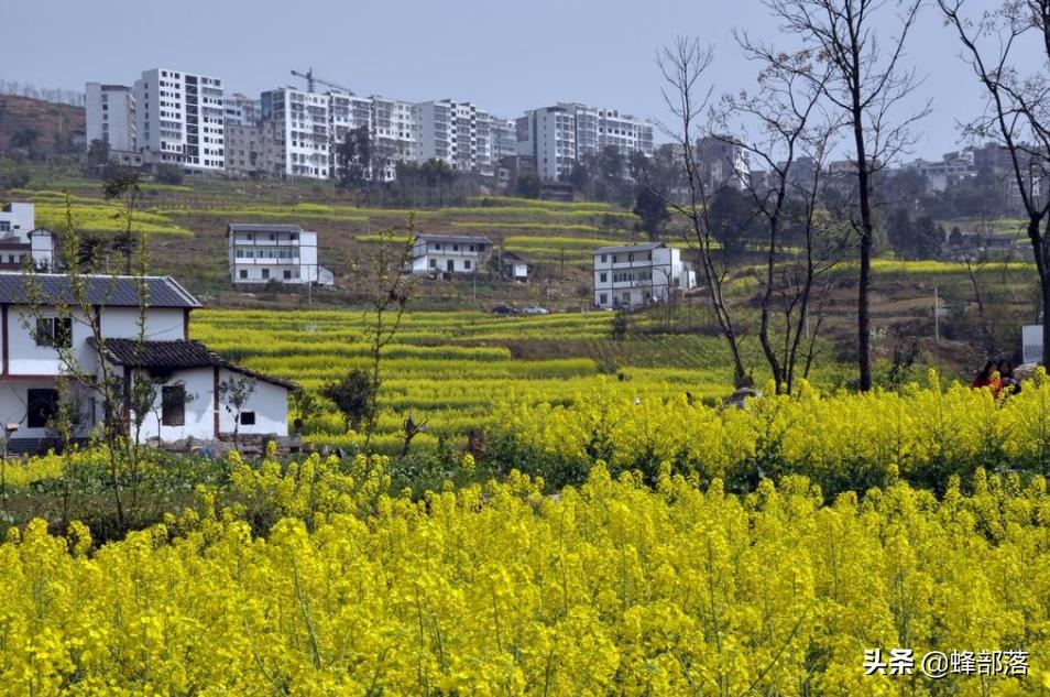 农村电商小伙4年赚100万,农村小伙刚入电商这行投入十几万