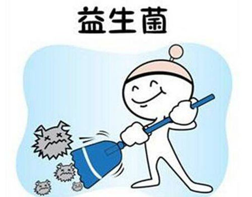 三个月泰迪拉屎有血怎么回事,泰迪狗狗为什么不在房间拉屎