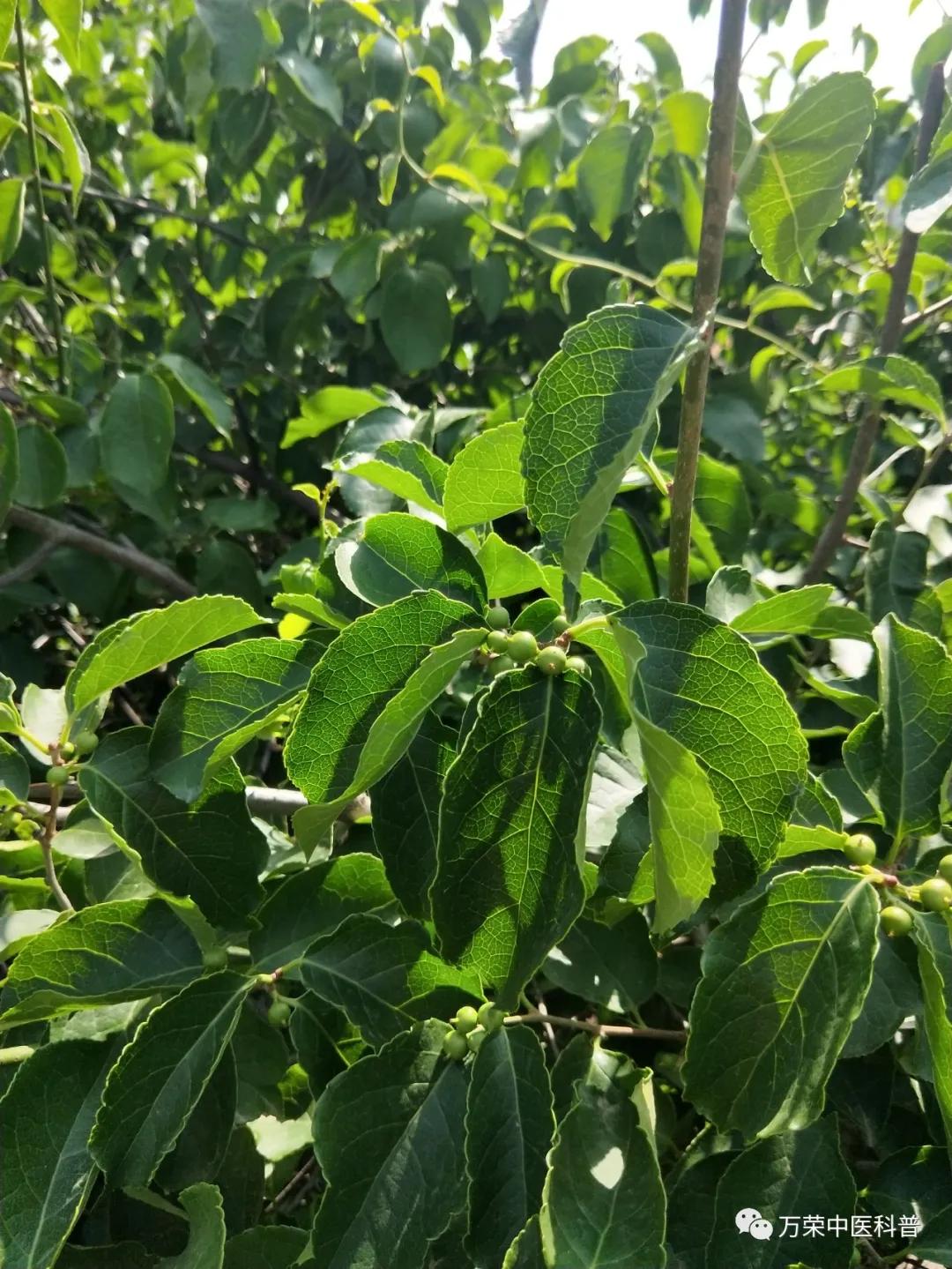 跟我回家在线免费看,跟我回家免费看