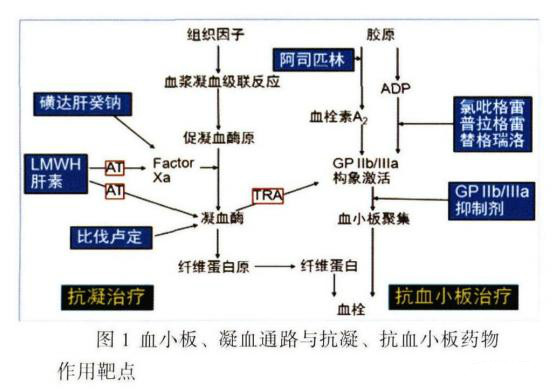 抗血栓药，有哪些？它们之间有哪些不一样？听听医生怎么说