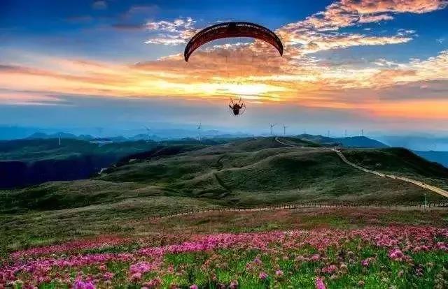 贵州春天景点自驾游,贵州旅游路线交通攻略最新