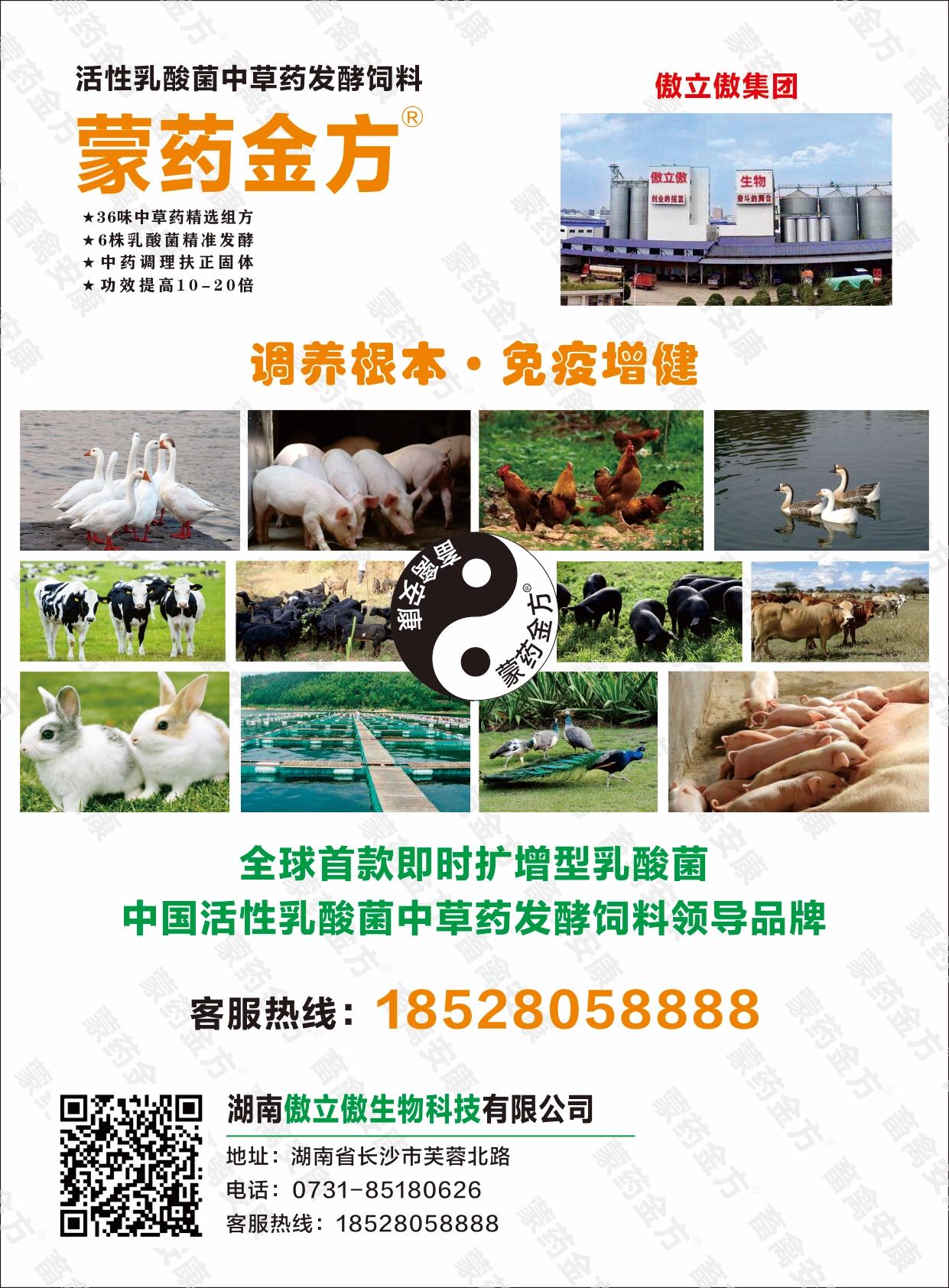 发酵中药与传统中药,蒙药十大名方