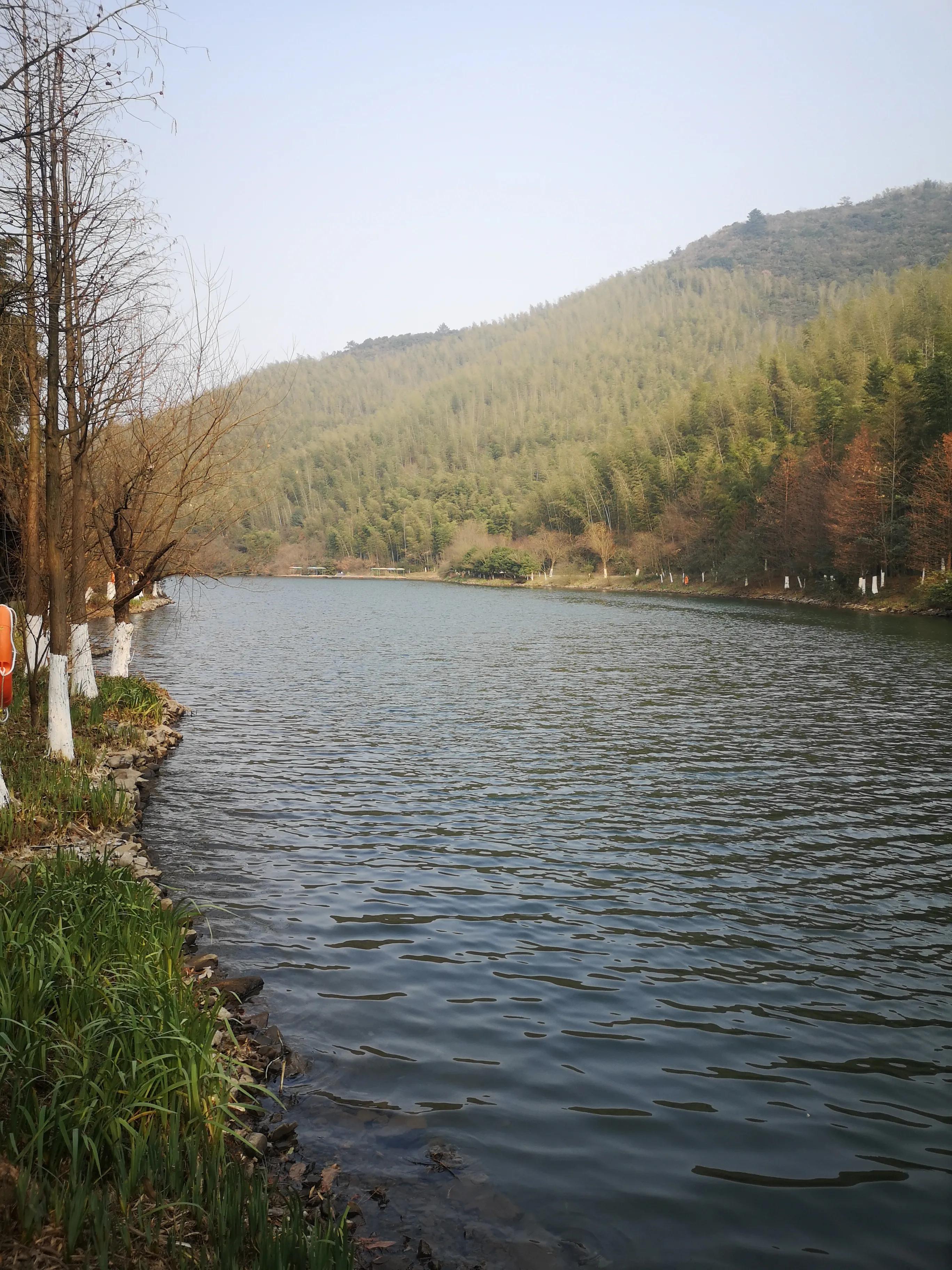 溧阳南山竹海小鸟天堂,宜兴南山竹海和溧阳南山竹海