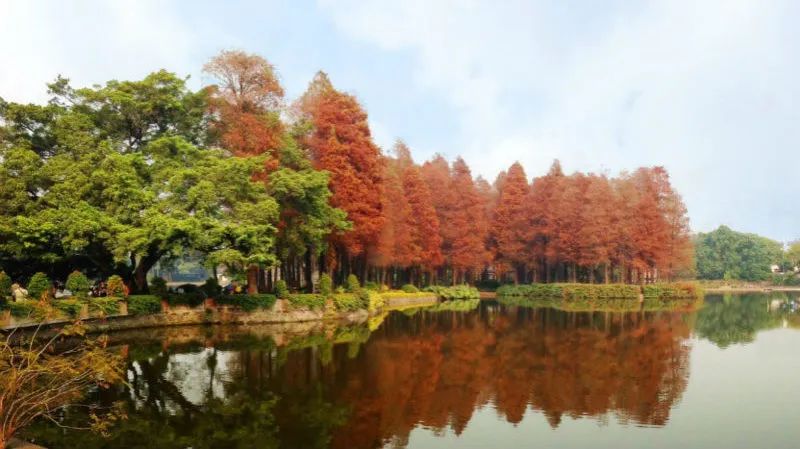 周末广州市内哪个公园最值得去,广州十大避暑旅游景点
