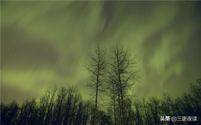 远离浮躁和喧嚣回归诗意生活,远离喧嚣放下包袱亲近大自然