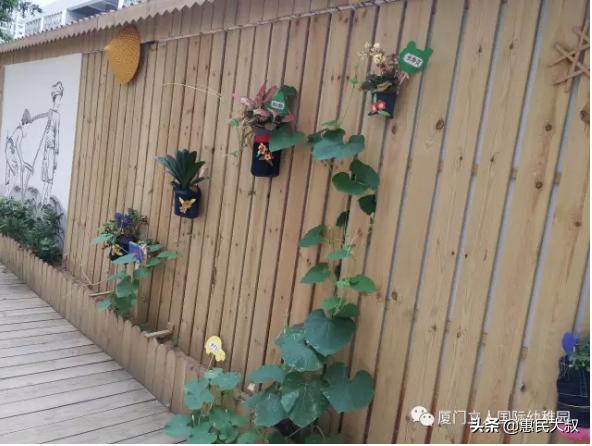 厦门立人国际幼稚园介绍,厦门立人国际幼儿园一个月多少钱