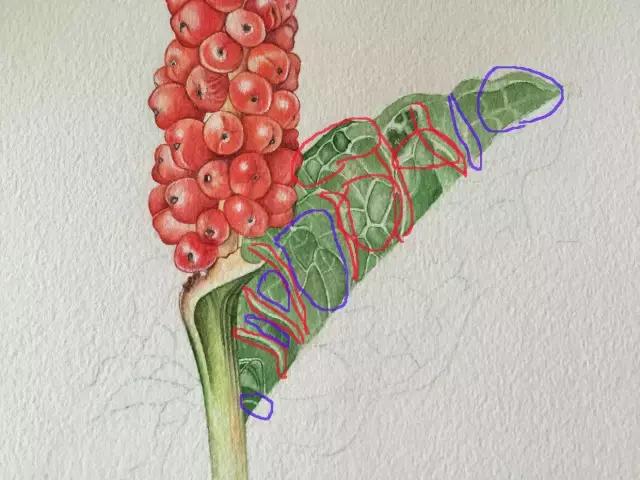 水彩密密麻麻的树叶怎么画,水彩画教程入门叶子