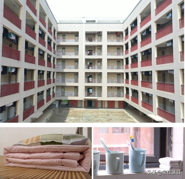 藤县八中简介,藤县八中地址