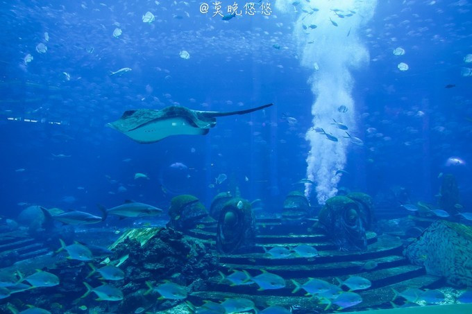 七星级酒店亚特兰蒂斯,三亚七星级酒店亚特兰蒂斯门票