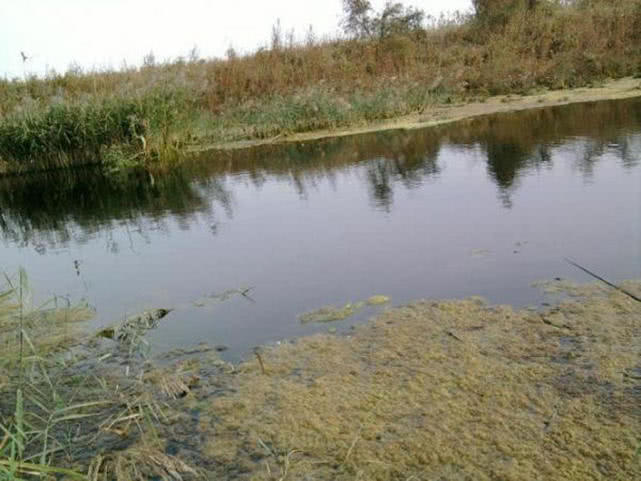 汽水钓海鱼视频,深水岸钓海鱼