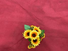 白云｜小手拉大手，环保时装来走秀