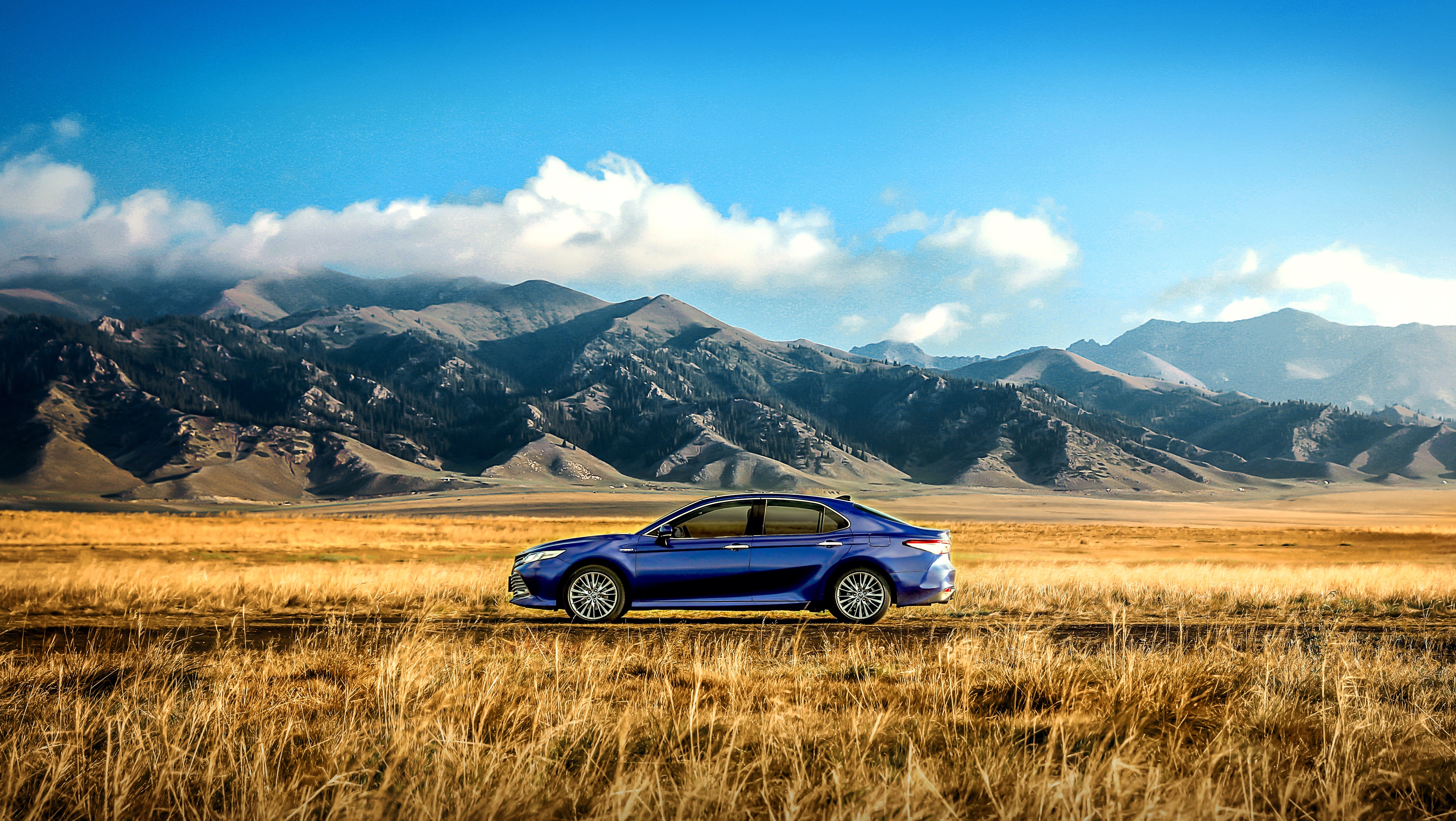 站在车上原地跳,站在车顶原地跳会怎么样