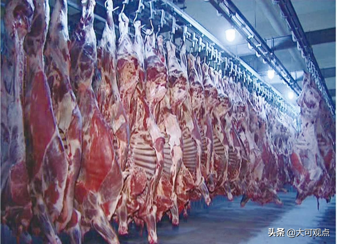 牦牛肉味道很重吃不惯,牦牛肉口感发酸什么原因