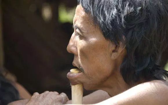 原始部落嘴下插木棍,亚马逊原始部落下巴穿木棍