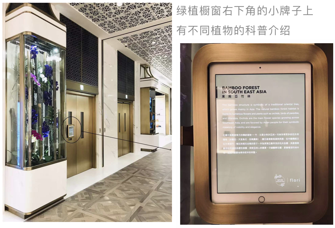 k11香港购物中心图片,香港新世界k11购物中心