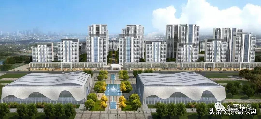 财富的趋势,财富的风口在什么地方