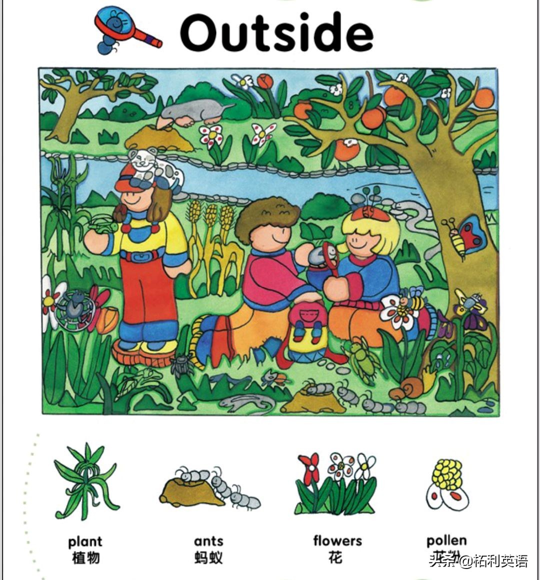 生活中常用的3000个英语单词短语,生活英语单词谐音大全