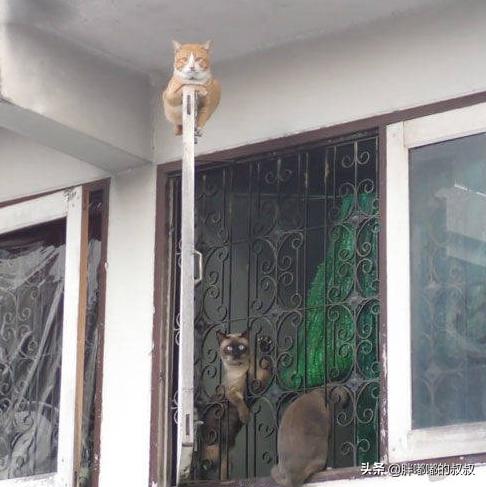 三大运营商活动轨迹二维码,三大运营商查个人信息