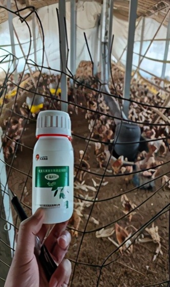 胆汁酸真的管用吗,胆汁酸真实效果