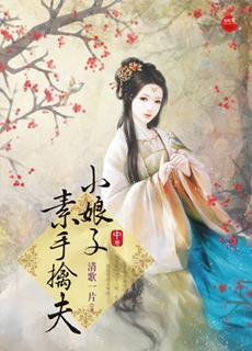 清歌一片的小说推荐，宋朝三部曲引人入胜