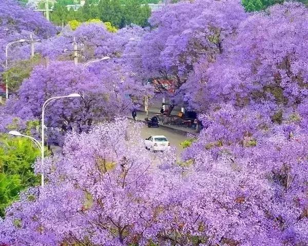 四川这座隐匿千年的古城,四川这座隐藏在喧闹中的千年古镇