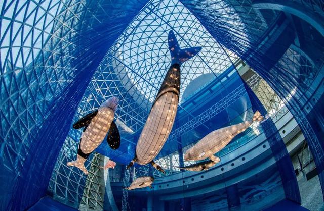 上海游玩必去的地方有哪些,上海值得玩的地方有哪些