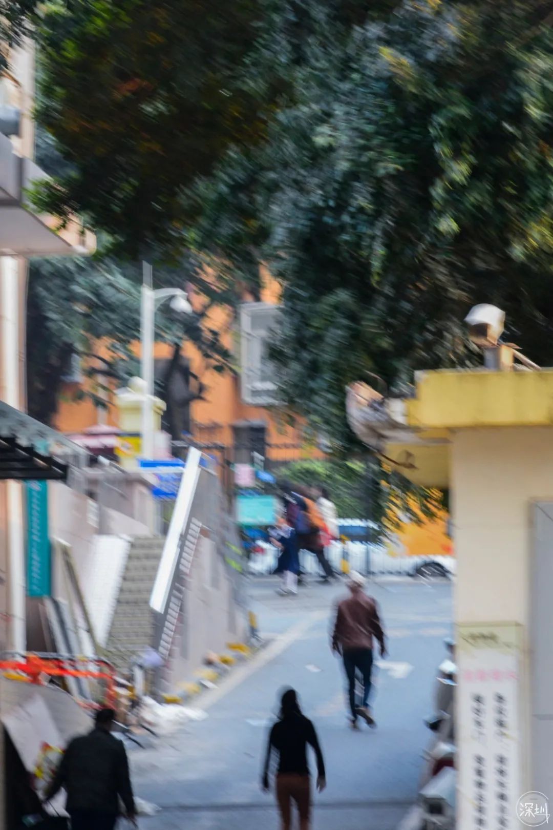 景甜有多大,景田是什么档次