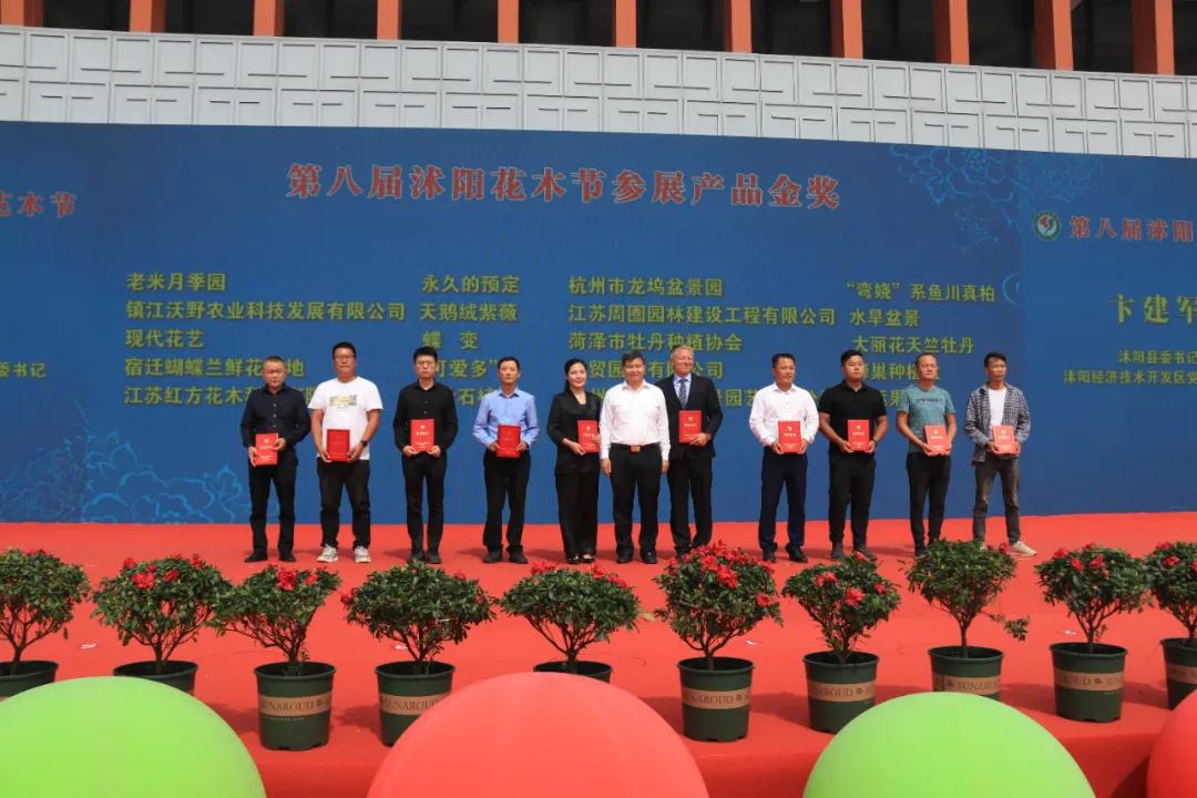 宿迁市沭阳县沭阳国际花木城,沭阳国际花木城布局