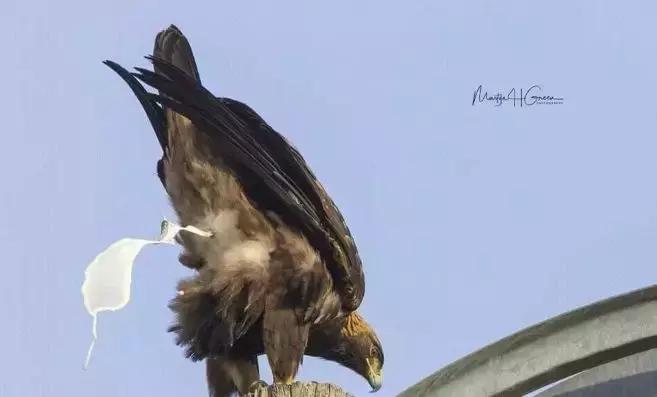 女人为美白拼命,为了美白的女人有多拼