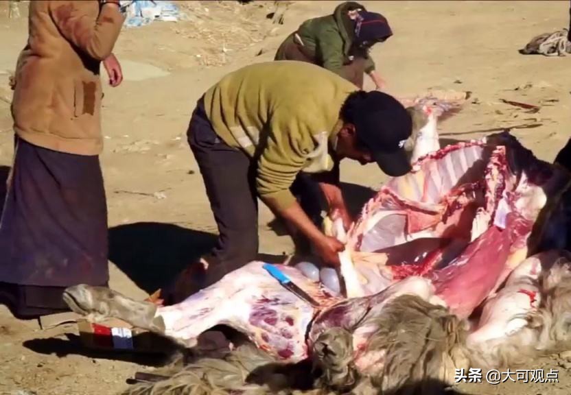 牦牛肉味道很重吃不惯,牦牛肉口感发酸什么原因