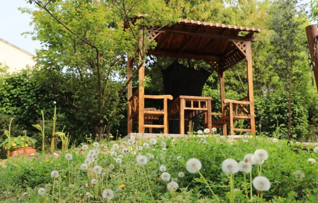 江阴新桥最美庭院,江苏江阴阳台风景