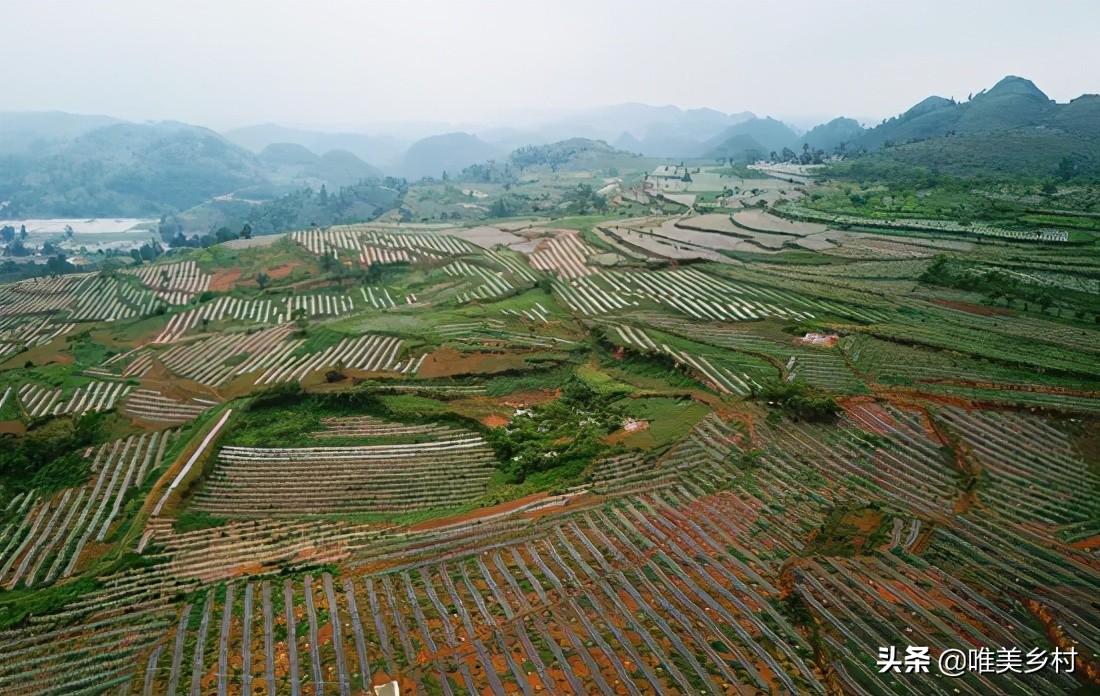 丘陵地区农业发展模式,丘陵山农业发展前景