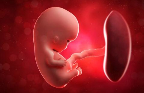 新冠病毒彻底清除了吗,新冠病毒从感染到死亡历程