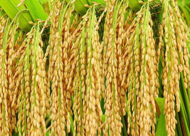 斜杠青年如何开启副业,斜杠青年的副业之路