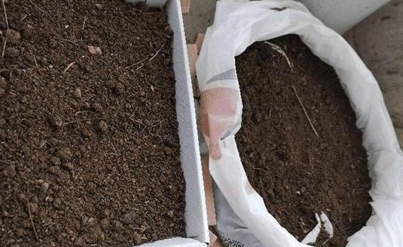 盆栽土结成硬块怎么处理,新买的盆栽土总是结块发白