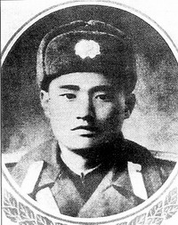 朝鲜战场金刚山战役,少数派报告中国