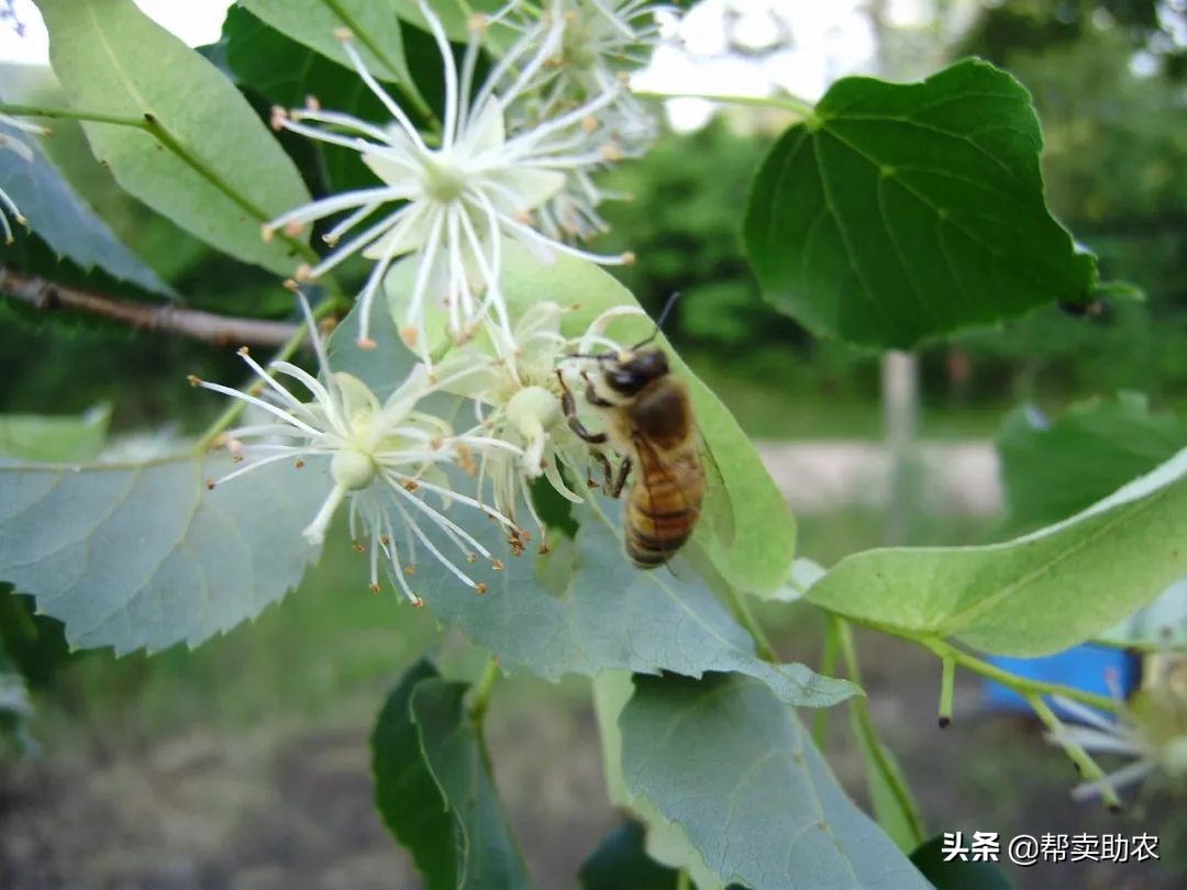 乾隆皇帝宠爱女人,乾隆皇帝宠爱七公主