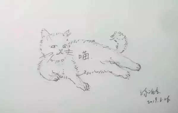 琬童画宇宙vol010|全然绽放地活着