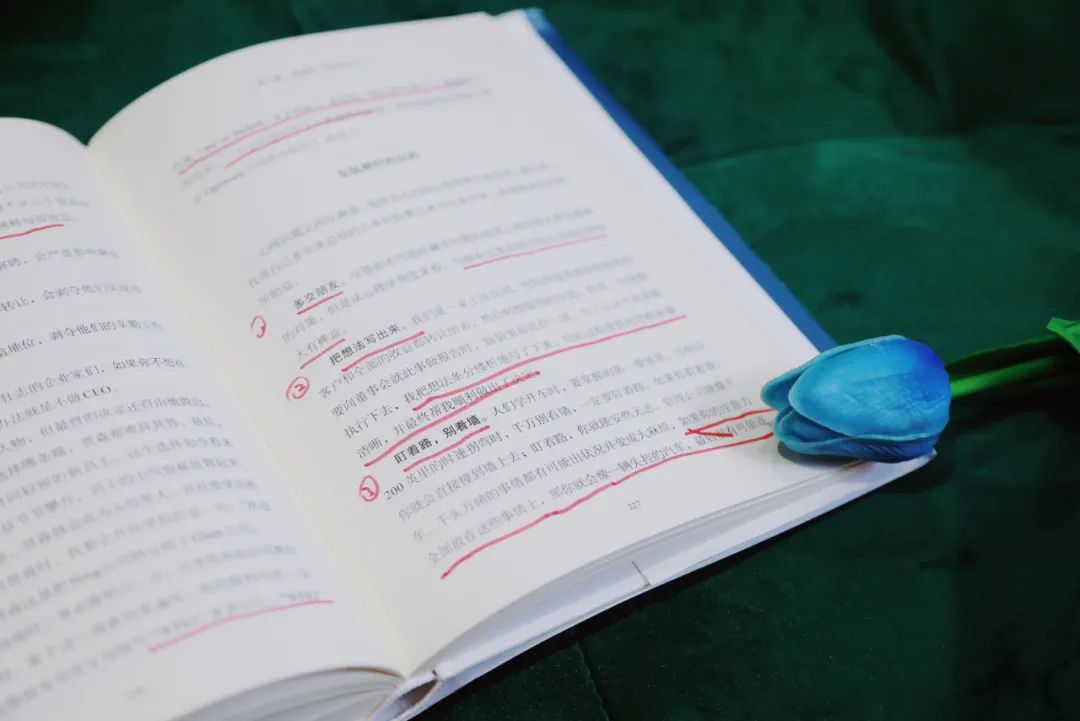 张萌创业助力方式,张萌创业是一场自我的较量